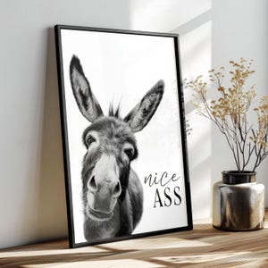 K&ouml;nnte beinhalten: Schwarz-Wei&szlig;-Druck mit einem gerahmten Bild eines Esels. Der Esel hat gro&szlig;e Ohren und eine wei&szlig;e Schnauze. Der Text "nice ASS" ist in einer Schreibschrift auf der rechten Seite des Drucks geschrieben.