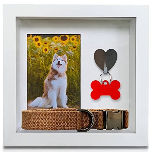 Dog Memorial Collar and Tag Frame - Etsy