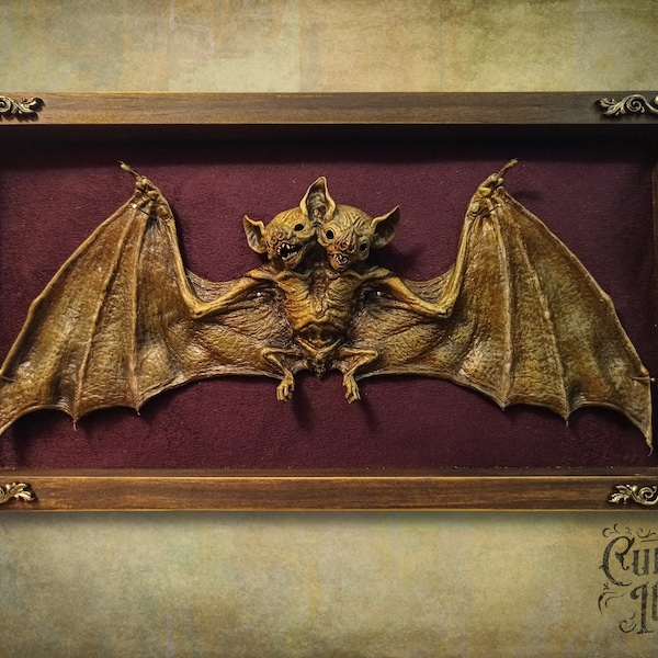 Cursed Items - Two Headed Bat Shadow Box Display Taxidermy Oddity