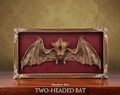 Two-Headed Bat Shadow Box β Faux Taxidermy Cryptid Display