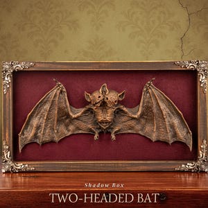 Murciélago Bicéfalo – Taxidermia Falsa de Críptido en Caja Gótica de Sombra por Cursed Items