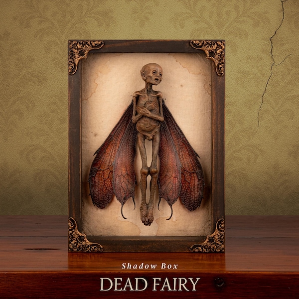 Mummified Dead Fairy Shadow Box – Cryptid Specimen, Gothic Curiosity Display
