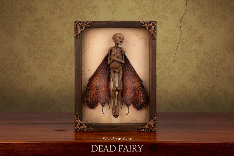 Mummified dead fairy specimen framed in shadow box with vintage background, full front view.