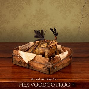 Sapo Vudú Embrujado – Escultura de Sapo Ritual con Alfileres, Amuleto de Magia Popular en Caja de Exhibición de Cursed Items