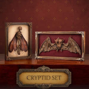 Dead Fairy & Two-Headed Bat Cursed Set – Shadow Box Oddity Display, Gothic Cryptid Art, Cabinet Curiosity Decor