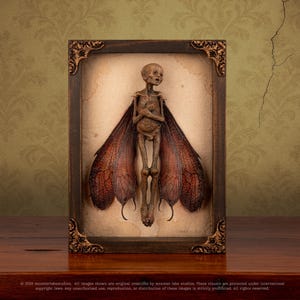 Mummified dead fairy specimen framed in shadow box with vintage background, full front view.