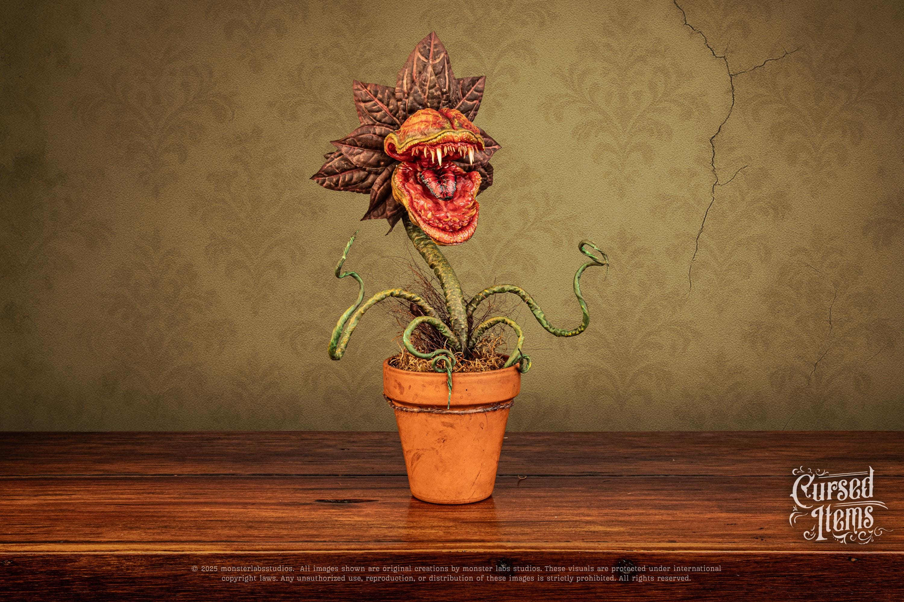 絵画 bizarre plants 絵画 bizarre plants Bizarre Plants / YUTA OKAMURA | STRAIGHT