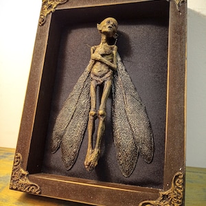 Cursed Items Dead Fairy Shadow Box Display - Etsy