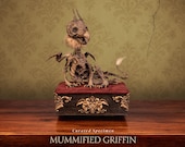 Mummified Griffin Specimen – Hybrid Cryptid in Display Case