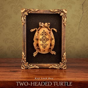 Two-Headed Turtle Oddity – Secret Key Box with Hidden Compartment