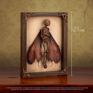 Side view of fairy shadow box showing 23 cm height measurement.