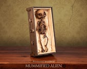Mummified Alien Specimen – Nazca UFO Relic Display