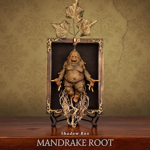 Raíz de Mandrágora en Caja de Sombra – Reliquia Botánica Maldita, Rareza Gótica de Cursed Items