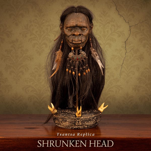 Shuar Shrunken Head Replica – Tribal Oddity Collectible Display