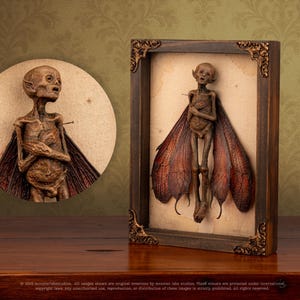Angled view of fairy in frame with close-up of head and delicate wings.