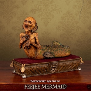 Sirena Feejee – Taxidermia Falsa Macabra, Gaff de Sideshow en Exhibición de Curiosidades de Cursed Items