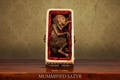 Mummified Satyr Specimen in Gothic Coffin – Cryptid Relic Display product logo