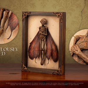 Full frame view of fairy with inset details of feet and crossed arms.