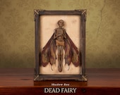 Mummified Dead Fairy Shadow Box β Cryptid Specimen, Gothic Curiosity Display