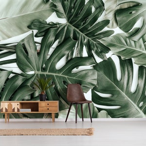 Monstera Blatt Wandbild abziehen und aufkleben tropische Tapete, alle Aufkleber wieder ablösbar, temporäre Tapete, Blattdruck, Wohnkultur