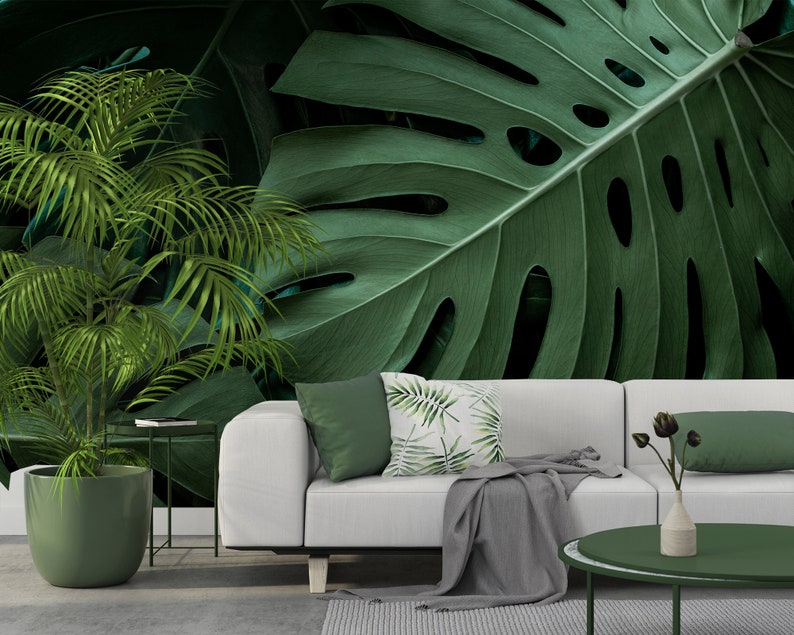 Modern Tropical Monstera Leaf Wall Mural, Peel and Stick Removable ...