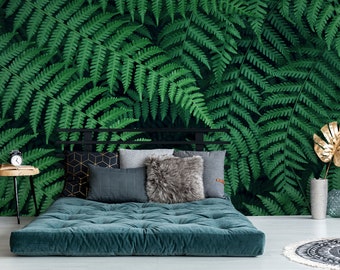 kentia palme luftreiniger Kentia Palme (Howea fosteriana)