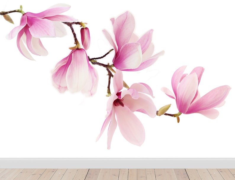 May include: A branch of pink magnolia blossoms with delicate petals and a white center. The flowers are arranged in a graceful curve, creating a soft and romantic image.