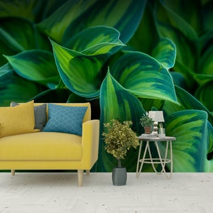 Carta da parati murale con foglie verdi, carta da parati rimovibile staccabile e incollabile, foglie tropicali, sfondo tropicale, stampa di foglie, decorazione della parete della foresta