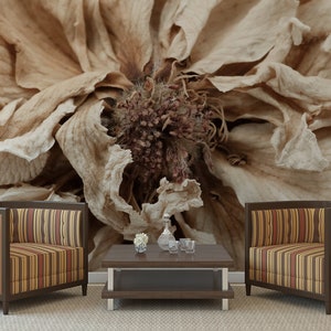 May include: A close-up of a dried flower with brown petals. Two striped armchairs and a coffee table with a glass vase and glasses are in the foreground.