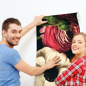May include: A couple are hanging up a floral wallpaper with large pink and white flowers. The wallpaper has a dark background and the flowers are in focus.