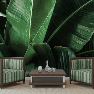 Tropical dark green big leaves wall mural, peel and stick removable wallpaper, exotic wallpaper, leaf print, leaf wallpaper, home decor