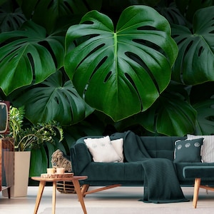Grünes tropisches Monstera Blatt Wand Wandbild, botanische selbstklebende abnehmbare Tapete, peel and stick temporäre Tapete Wandbild, Wohnkultur