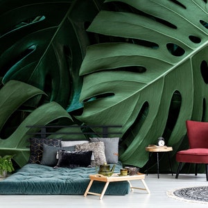 Modern tropical monstera leaf wall mural, peel and stick removable wallpaper, green leaves on black background, leaf print, home decor