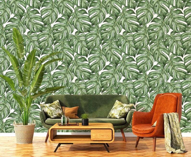 Monstera Leaf Wallpaper Peel and Stick Tropical Wall Mural - Etsy