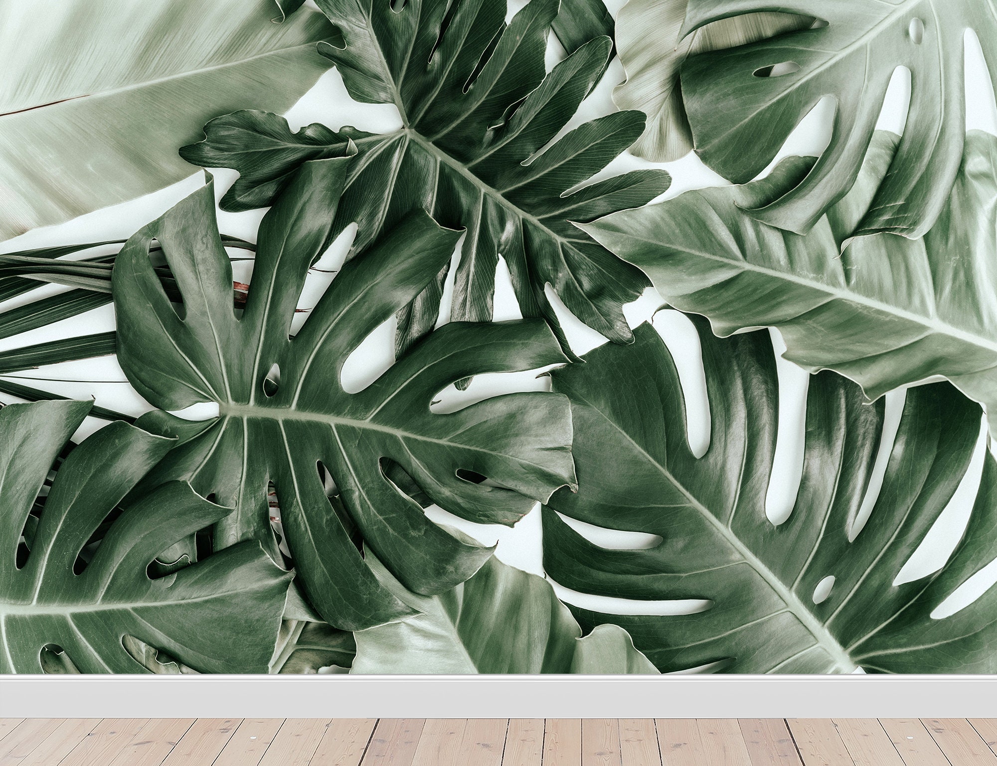 Monstera Leaf Wall Mural Peel and Stick Tropical Wallpaper - Etsy