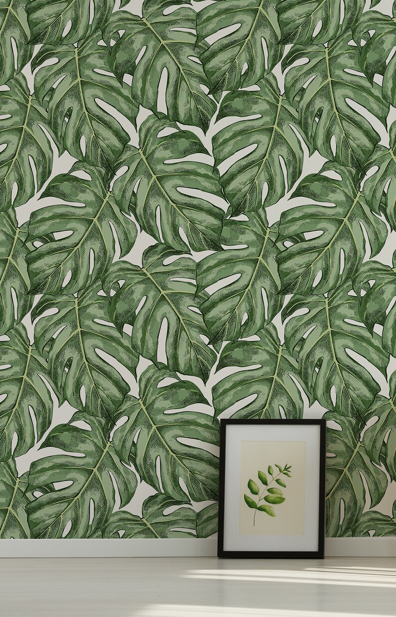 Monstera Leaf Wallpaper Peel and Stick Tropical Wall Mural Etsy