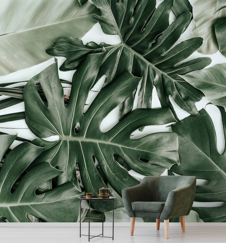 Monstera Leaf Wall Mural Peel and Stick Tropical Wallpaper - Etsy