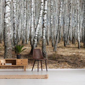 Wald Wandbild, selbstklebende Tapete, Birken Tapete, Natur Tapete, abziehbare Tapete, Wanddeko