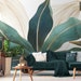 see more listings in the Foglie & Alberi section