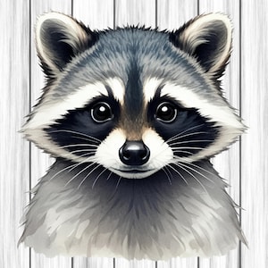 Raccoon Animal Clipart, Nursery Art, Animal Clipart, Cute Watercolor Animal, Raccoon Png, Digital Download