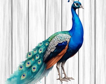 Peacock Animal Clipart, Nursery Art, Animal Clipart, Cute Watercolor Animal, Peacock Png, Digital Download