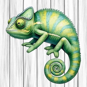 Chameleon Animal Clipart, Nursery Art, Animal Clipart, Cute Watercolor Animal, Chameleon Png, Digital Download