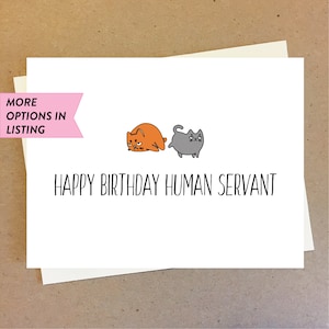 Funny cat birthday card | Cat themed Birthday Card | Hilarious Cat Owner Birthday Present | Gift for Cat Lover