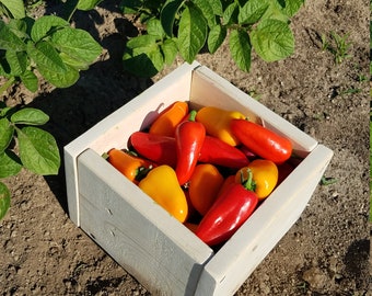 10 inch wooden box