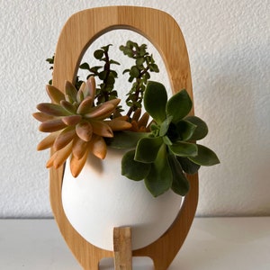 May include: A white ceramic planter held within a light-toned bamboo frame. The planter contains a variety of succulents, including a large orange-tinted rosette, a dark green rosette, and several upright stems with small, rounded green leaves.