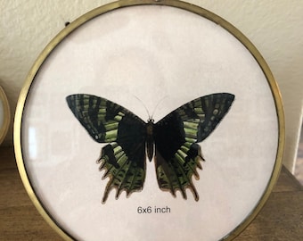 Vintage style 5 3/4 inch brass frame
