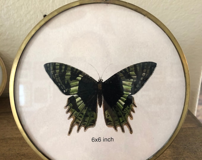 Vintage style 5 3/4 inch brass frame