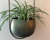 Hanging planter oxidized brass finish holds a 5-6 inch plant