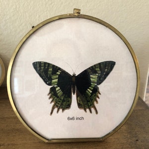 Vintage style 5 3/4 inch brass frame
