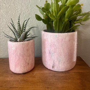 May include: Two pink ceramic pots containing different succulents. The larger pot holds a green cactus with long, thin leaves. The smaller pot contains a green succulent with white stripes on the leaves.
